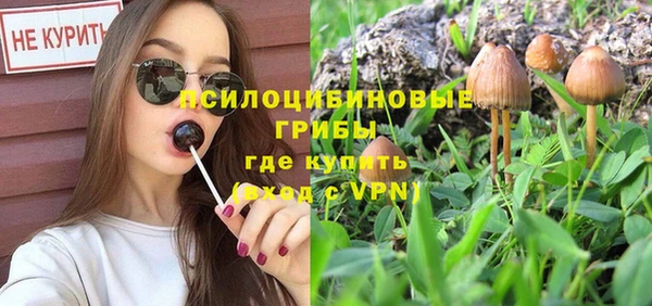 крисы Володарск