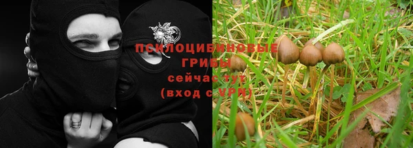 хмурый Верхний Тагил