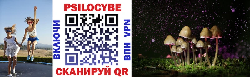 Псилоцибиновые грибы Cubensis  kraken tor  Исилькуль  как найти закладки 