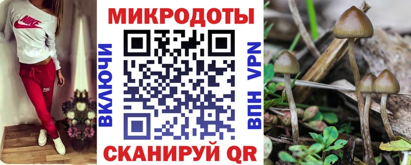 Галлюциногенные грибы Magic Shrooms Исилькуль
